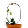 Mossify Oval Metal Trellis – Black